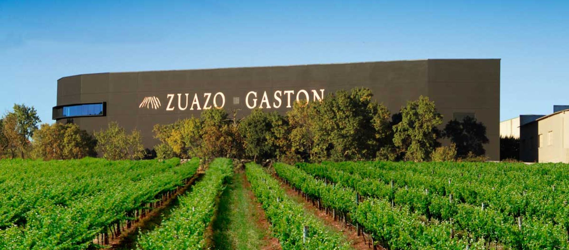 BODEGAVIÑA